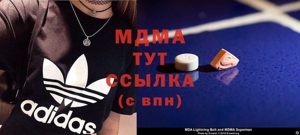 ГАЛЛЮЦИНОГЕННЫЕ ГРИБЫ Аркадак