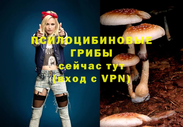 таблы Арсеньев
