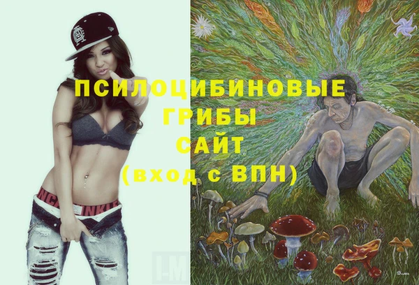 твердый Алексеевка