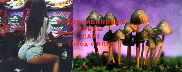 твердый Алексеевка