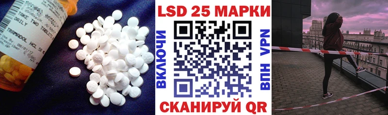 ЛСД экстази ecstasy  сайты даркнета как зайти  Петропавловск-Камчатский 