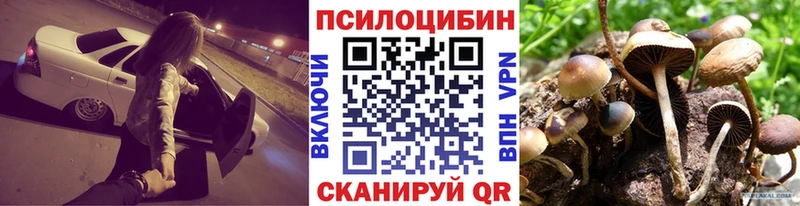 Псилоцибиновые грибы GOLDEN TEACHER  Петропавловск-Камчатский 